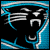 Carolina Panthers betting tip